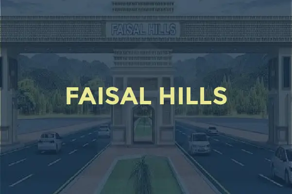 Faisal Hills