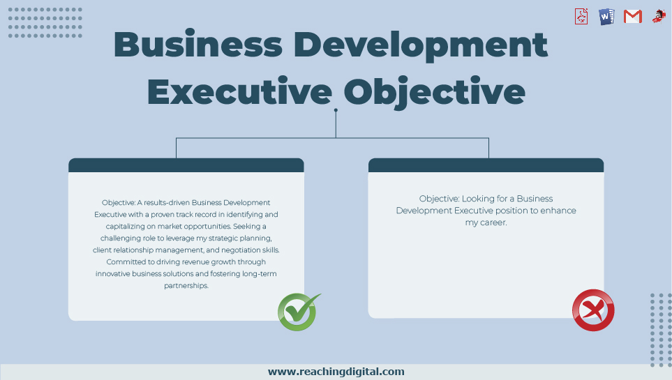 Objective for Business Development Executive