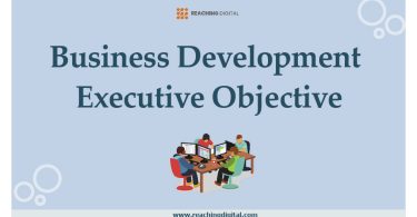 Business Development Executive Objective