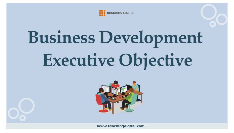 Business Development Executive Objective