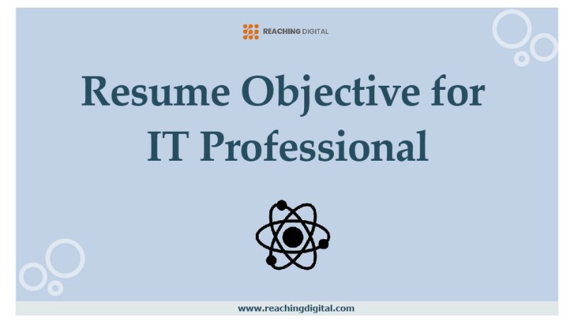 resume objective for it professional