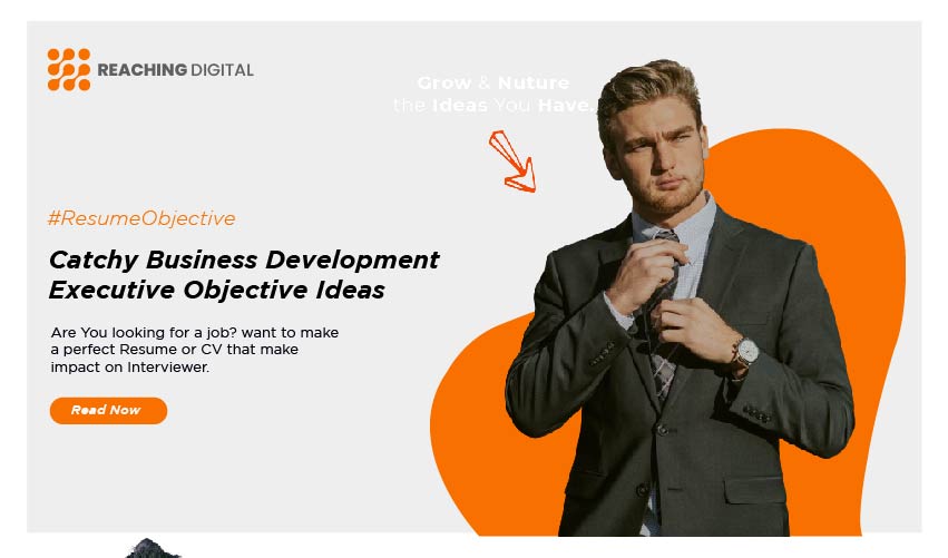 career objective for business development executive