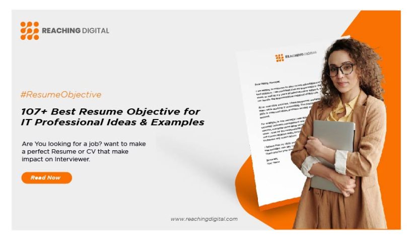 resume objective for it professional