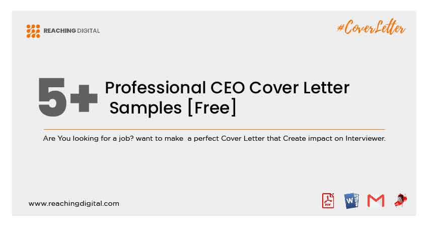 CEO Cover Letter Example