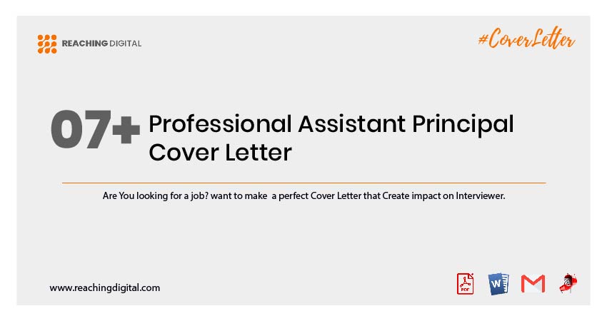 Cover Letter For Assistant Principal Position