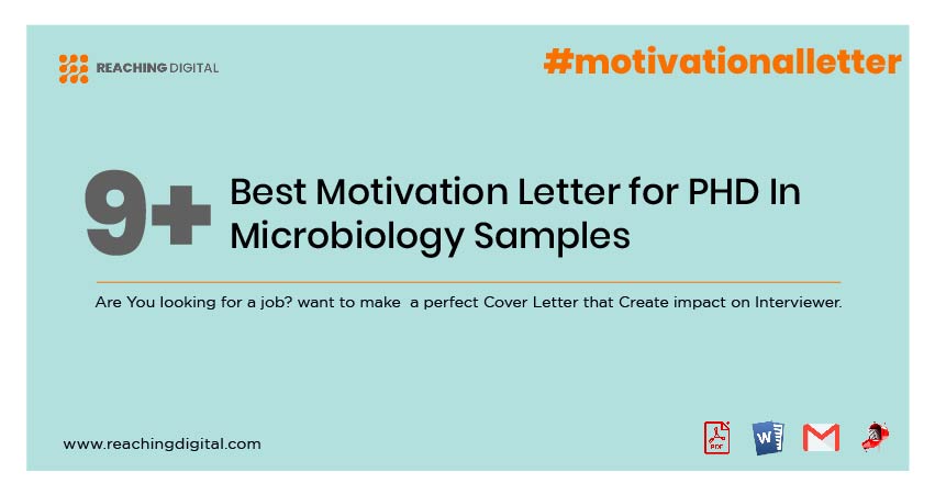 Short Motivation Letter for PHD In Microbiology